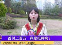 新城郡望府
