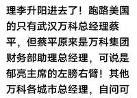 萬科民安云河錦上