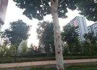 保億豫景晨園