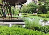 藍寶湖畔曉風
