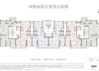 美盛金水印