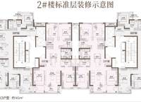 美盛金水印