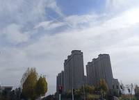海義東樾  鄭政東出〔2023〕28號（網(wǎng)）