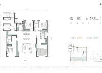 金投·天寶府