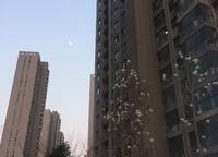 方圓經(jīng)緯
