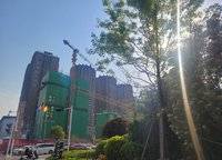 敏捷江山譽