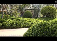 龍湖·景粼玖序
