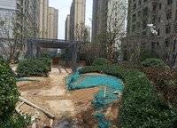 遠(yuǎn)洋瑞林宸章