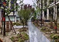 龍湖天宸原著