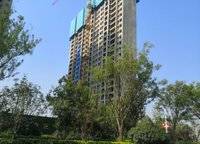 金輝濱河云著
