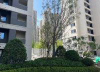 龍湖熙上