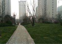 正弘中央公園