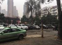 苗圃小區(qū)