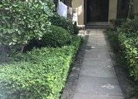 怡豐森林湖一期