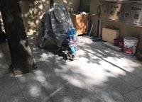 怡豐森林湖一期
