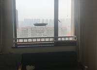 普羅旺世波特蘭