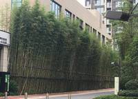 永威迎賓府