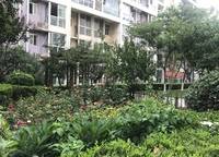 鑫苑城市之家