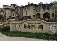 怡豐森林湖一期