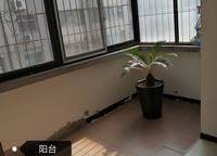 同樂(lè)花園