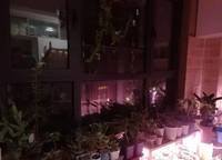 和昌悅瀾