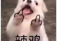 龍湖熙上