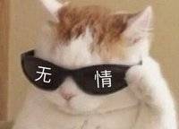 金科城