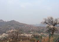 美景素心園