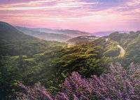美景素心園