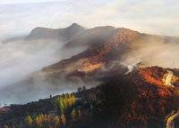 美景素心園