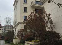 中力龍灣公館