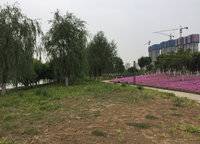 萬科城