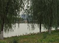 萬科城