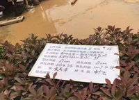 金科城