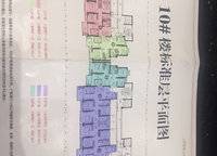 金科城