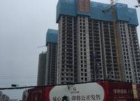 盛世臥龍城