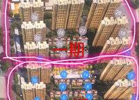 金科城