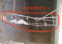 綠都脈棟