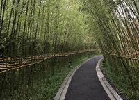 藍(lán)城桃花源