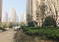 金科城