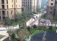 金科城