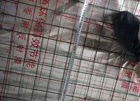 建業(yè)春天里