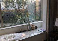 建業(yè)春天里