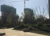 信保春風(fēng)十里