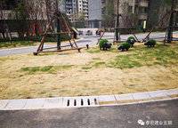 泰宏建業(yè)國際城