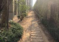 康橋香溪郡