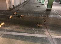 金科城