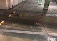 金科城