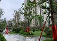 康橋知園