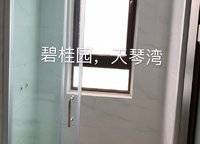 碧桂園天琴灣